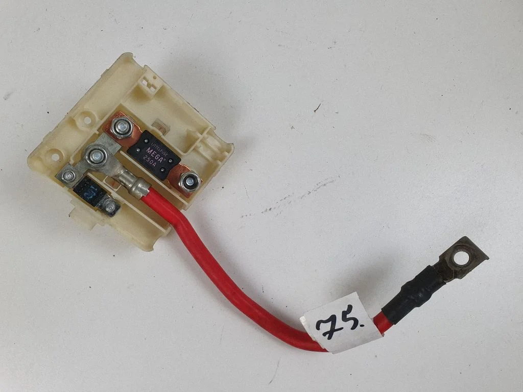 Fuse module 8387551