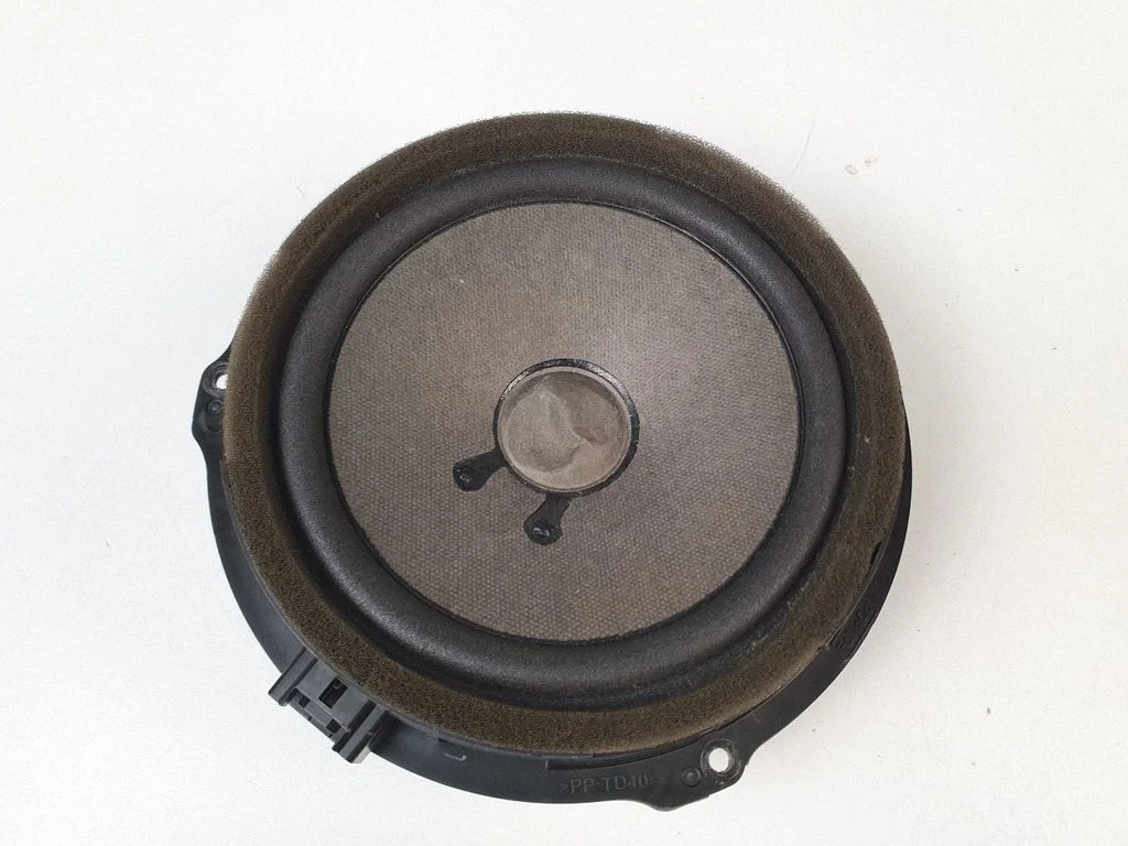 Front door speaker AA6T18808AA