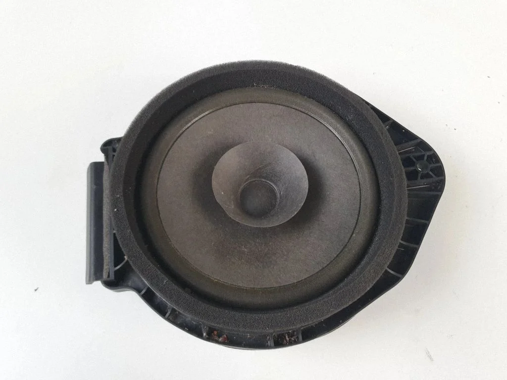 Front door speaker