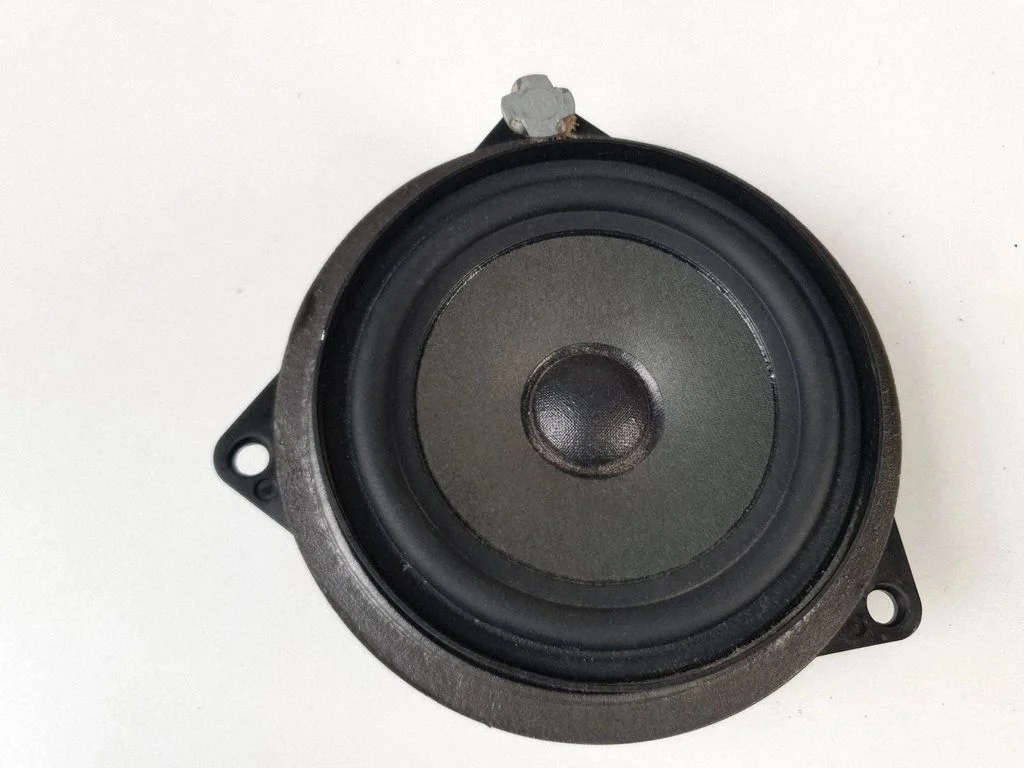 Front door speaker 9289636