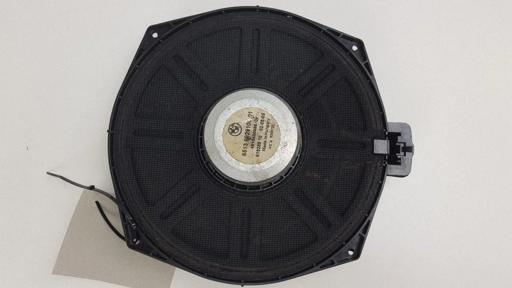 Front door speaker 6513692910001