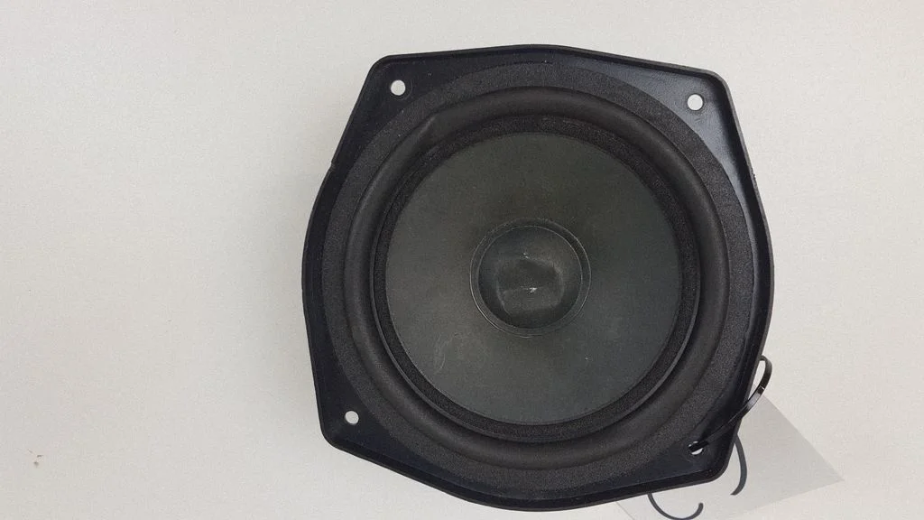 Subwoofer speaker 9181819