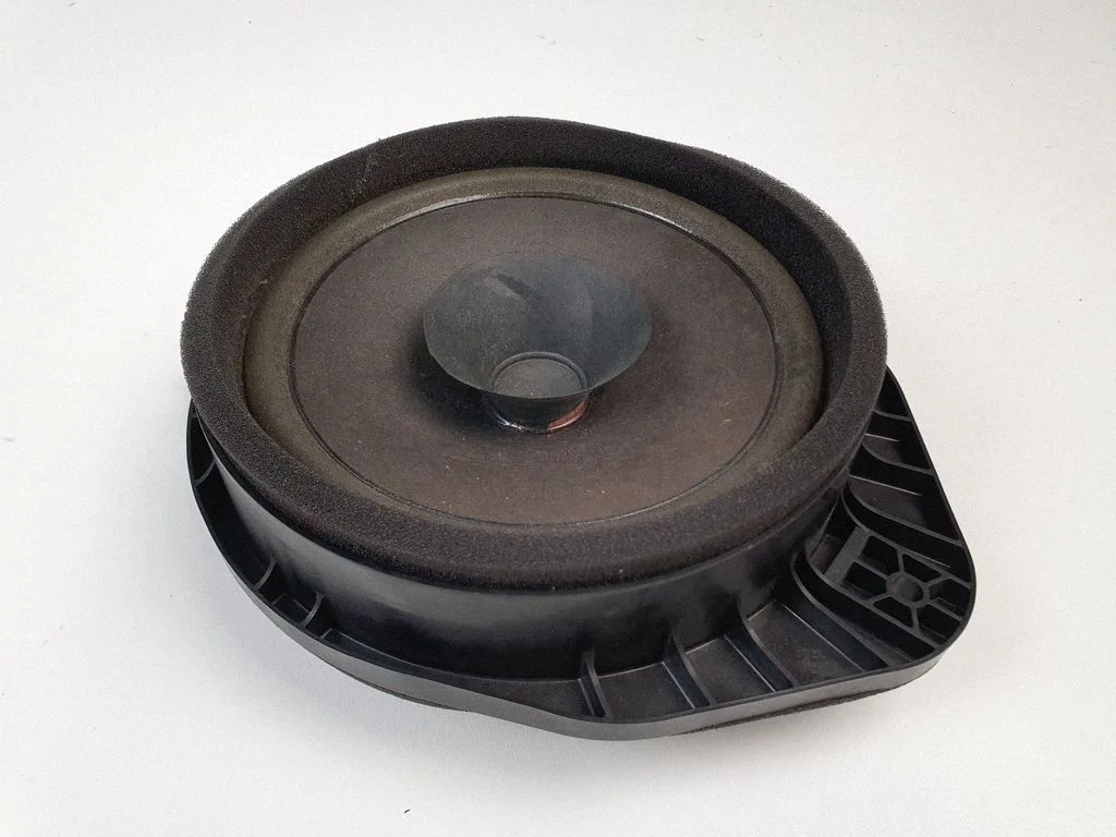 Rear door speaker