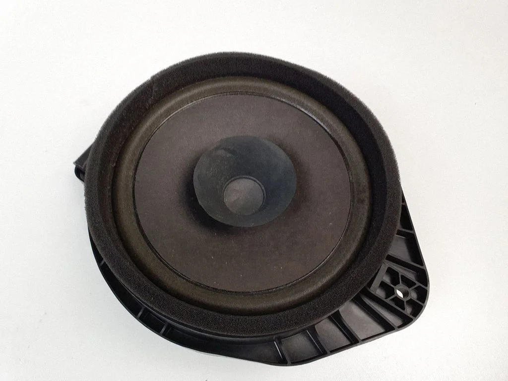 Rear door speaker