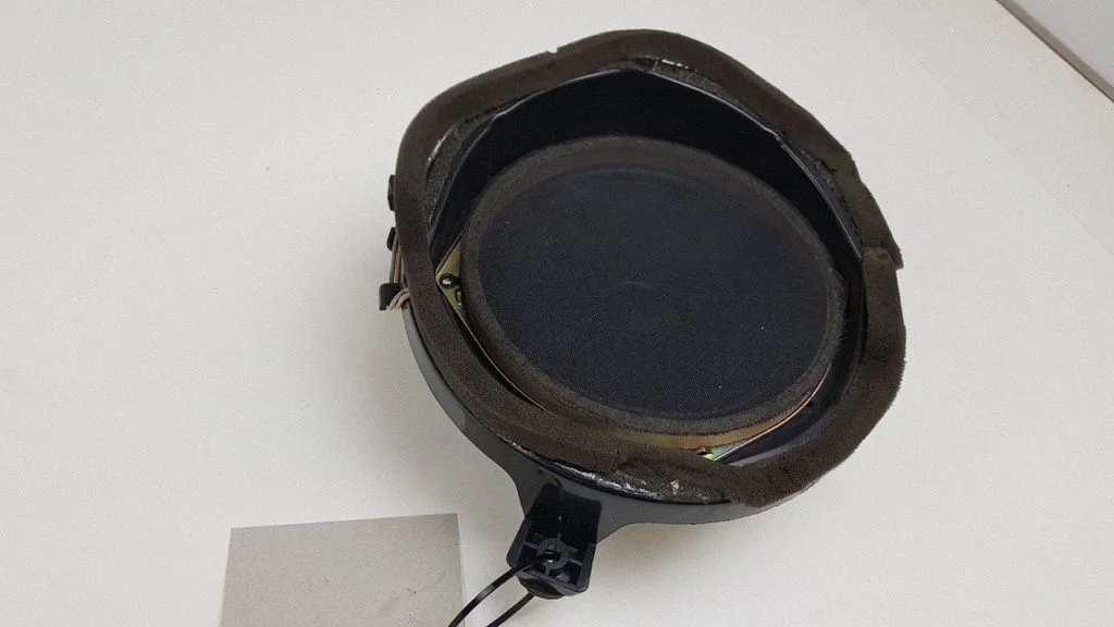 Rear door speaker A1638201602
