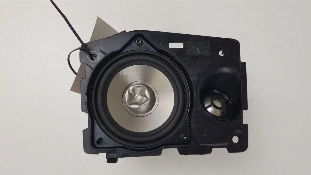 Rear door speaker 6907639