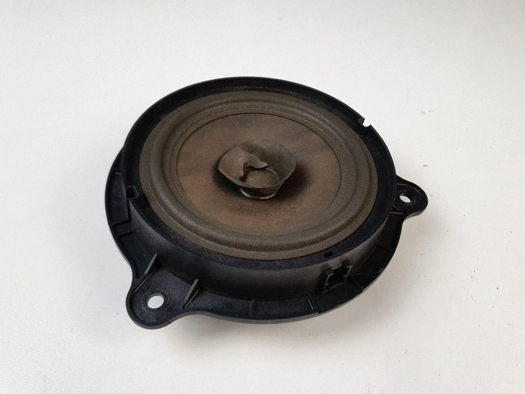 Rear door speaker