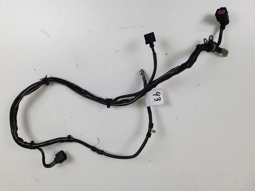 Other wiring loom