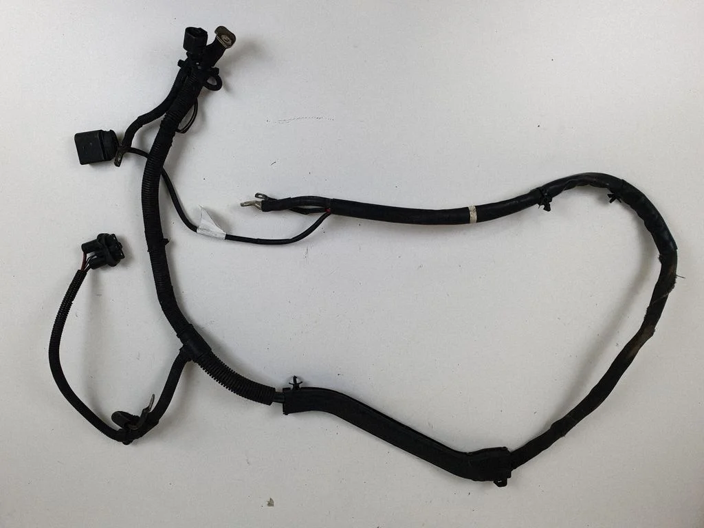 Other wiring loom