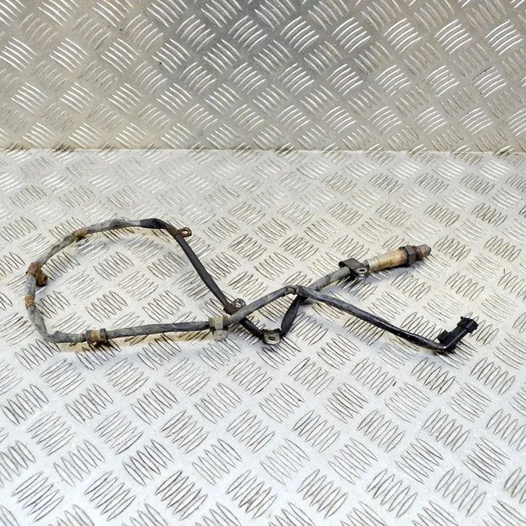 Lambda zonde