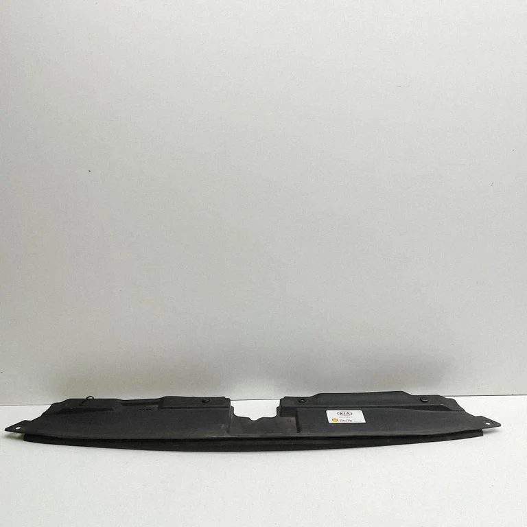 Radiator trim A286570000