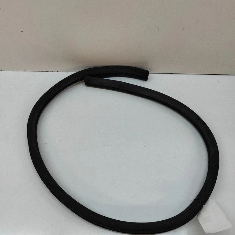 Rubber seal front door (on door) A1726970051