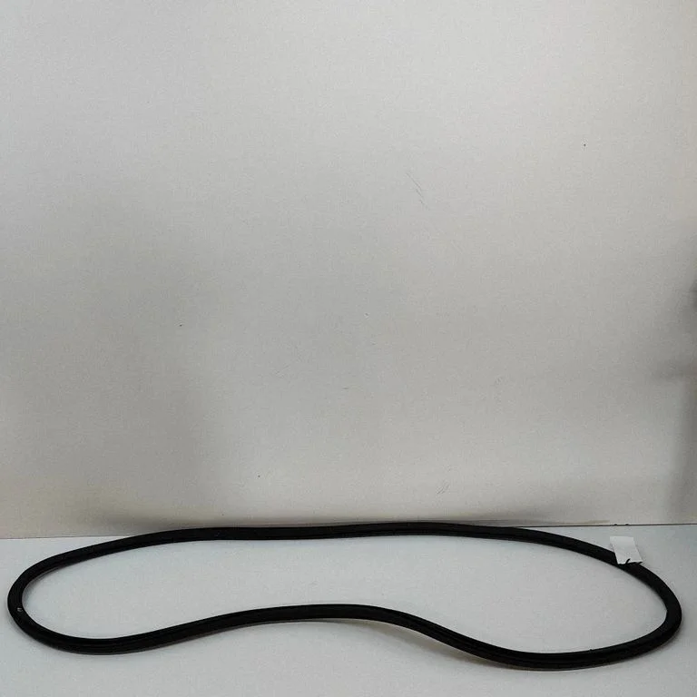 Rubber seal front door (on door) 32342440
