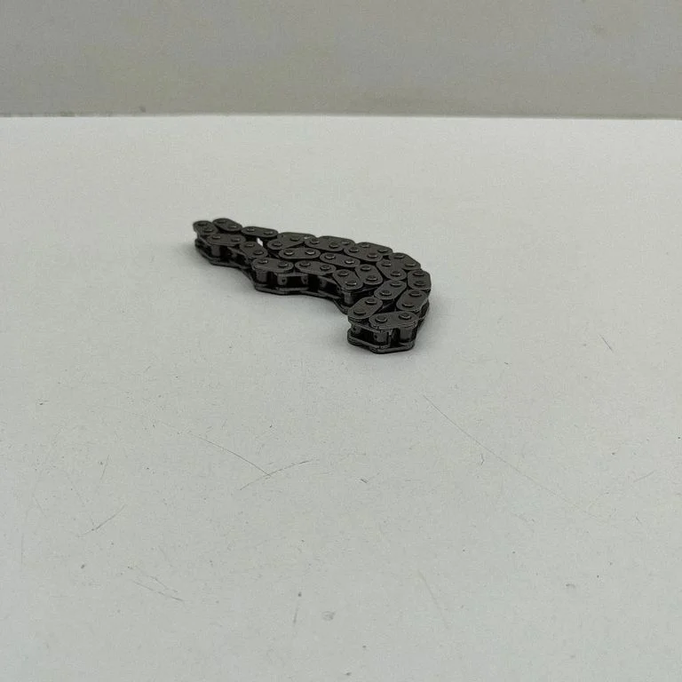 Oil pump chain – BMW 5 Series F10 F11 (2009-2016)