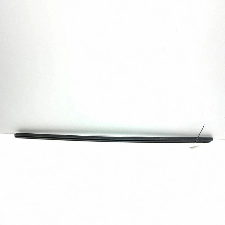 Front door glass trim molding 202280399A