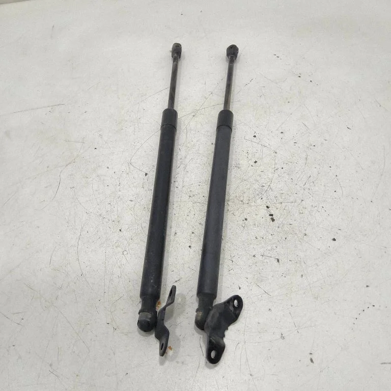Tailgate/trunk strut/damper 1T0827550