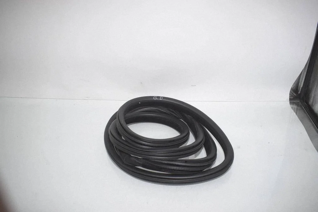 Rear door rubber seal (on body) 7289689