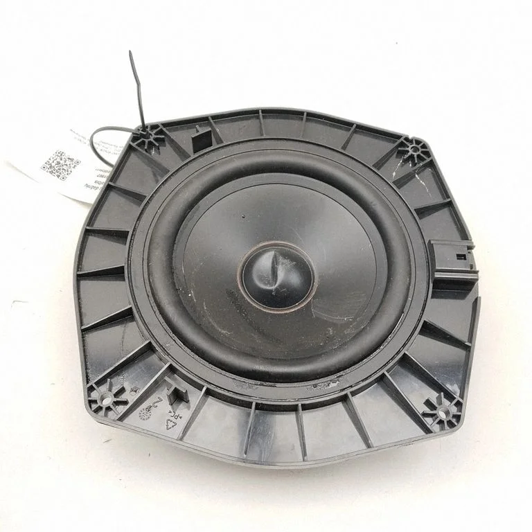 Skaļrunis (-ņi) aizmugurējās durvīs DPLA18808BA