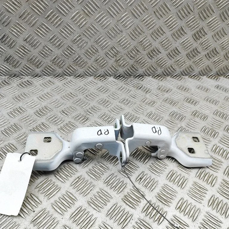 Komplet zawiasów drzwi przednich 804000649R