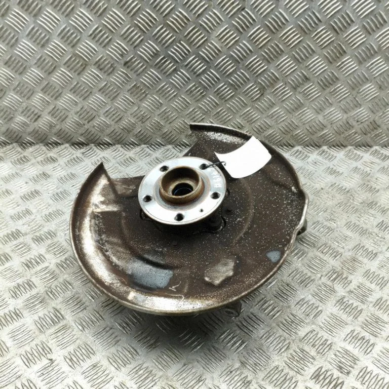 Aizmugurējā rumba 31387675