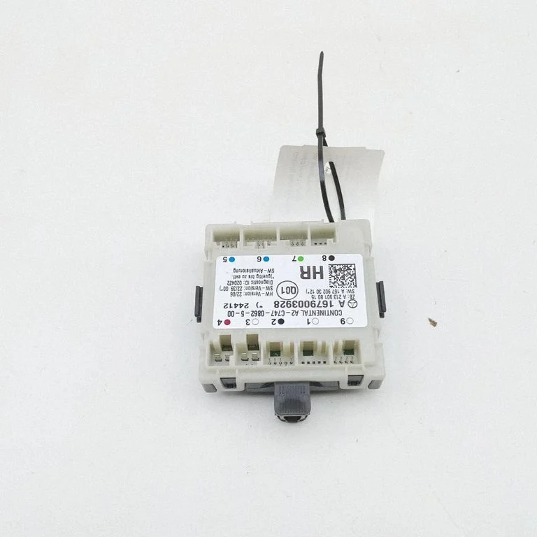 Door control unit/module A2C7470862500
