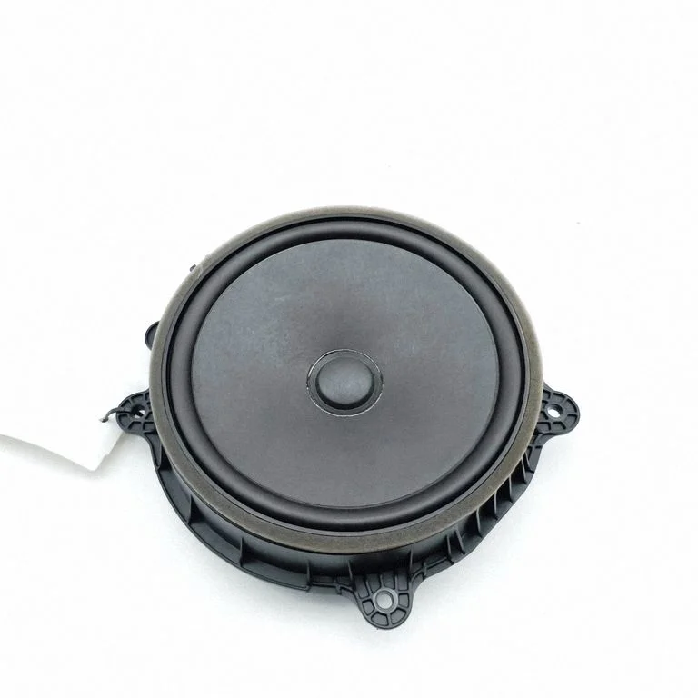 Skaļrunis (-ņi) priekšējās durvīs 107974300E