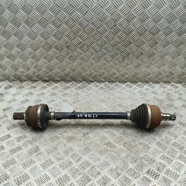 Aizmugurējā pusass 31367203