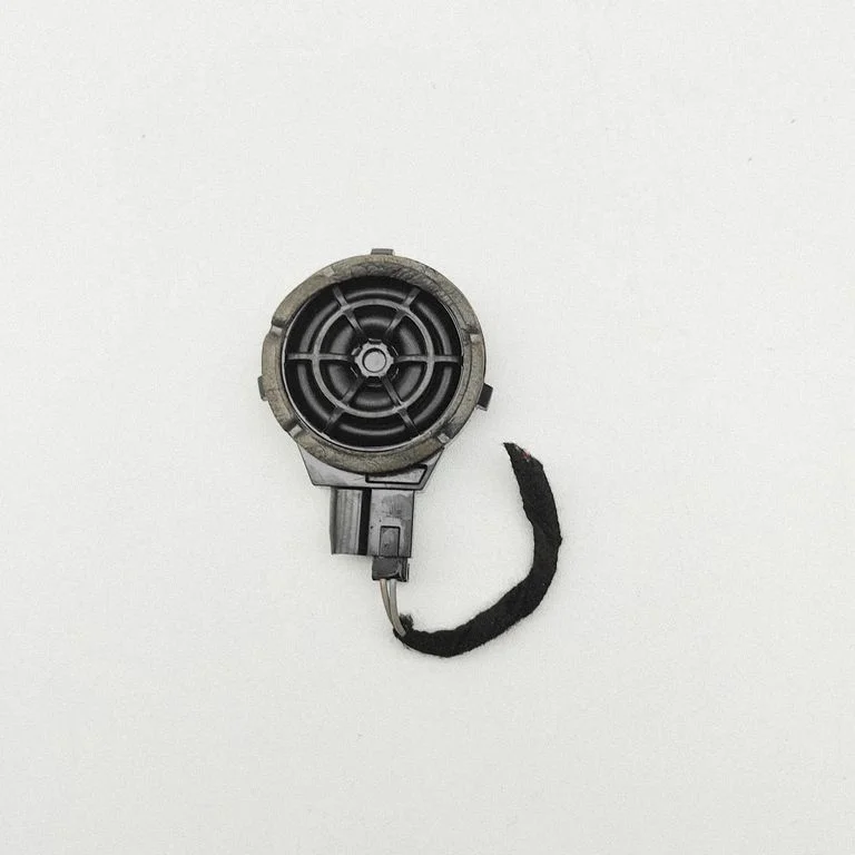 Rear door speaker 8052230BE02 – Leapmotor C10 (2024-)