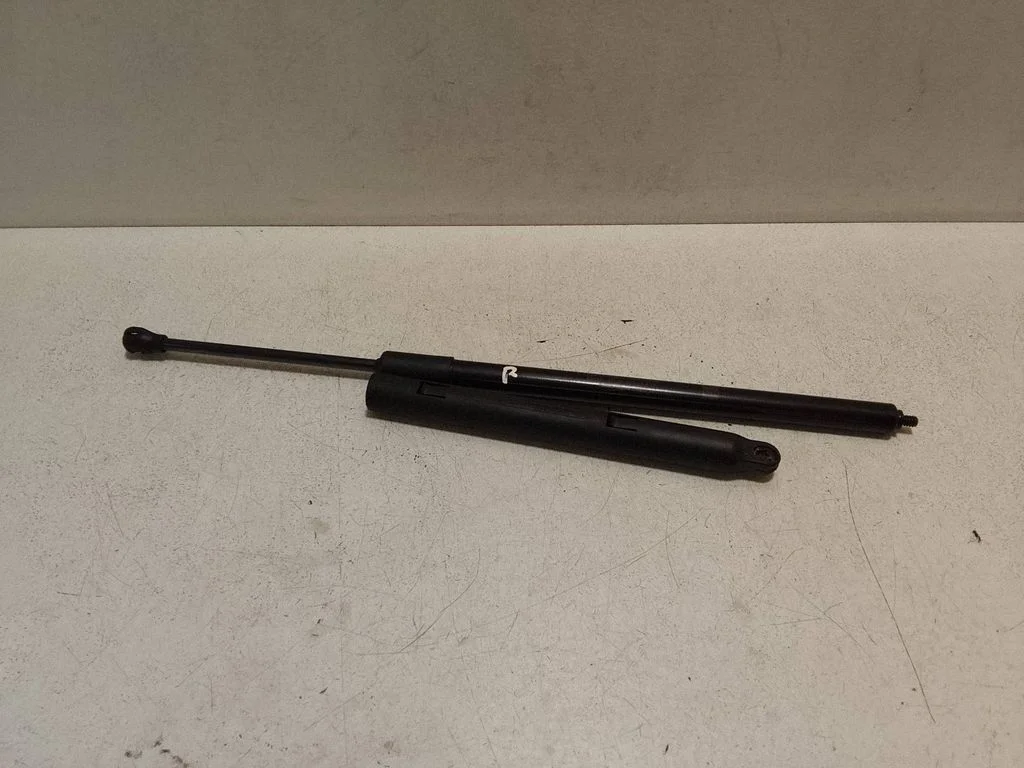Front bonnet/hood damper/strut A2069800200