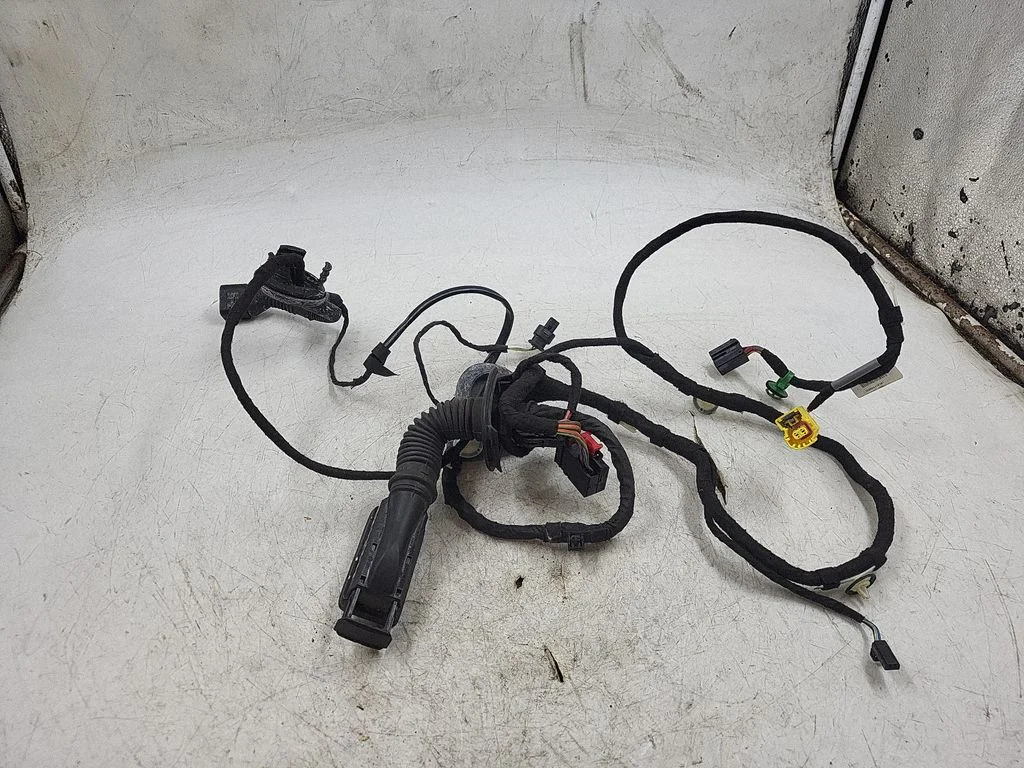 Front door wiring loom 20122006
