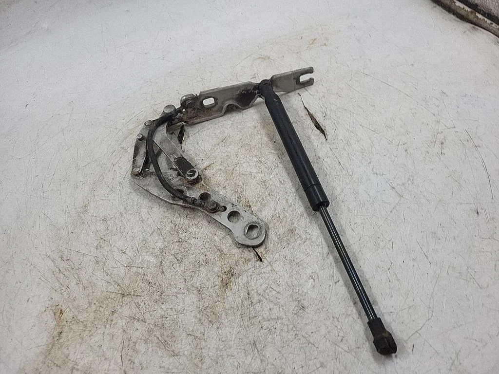 Tailgate/trunk/boot hinge