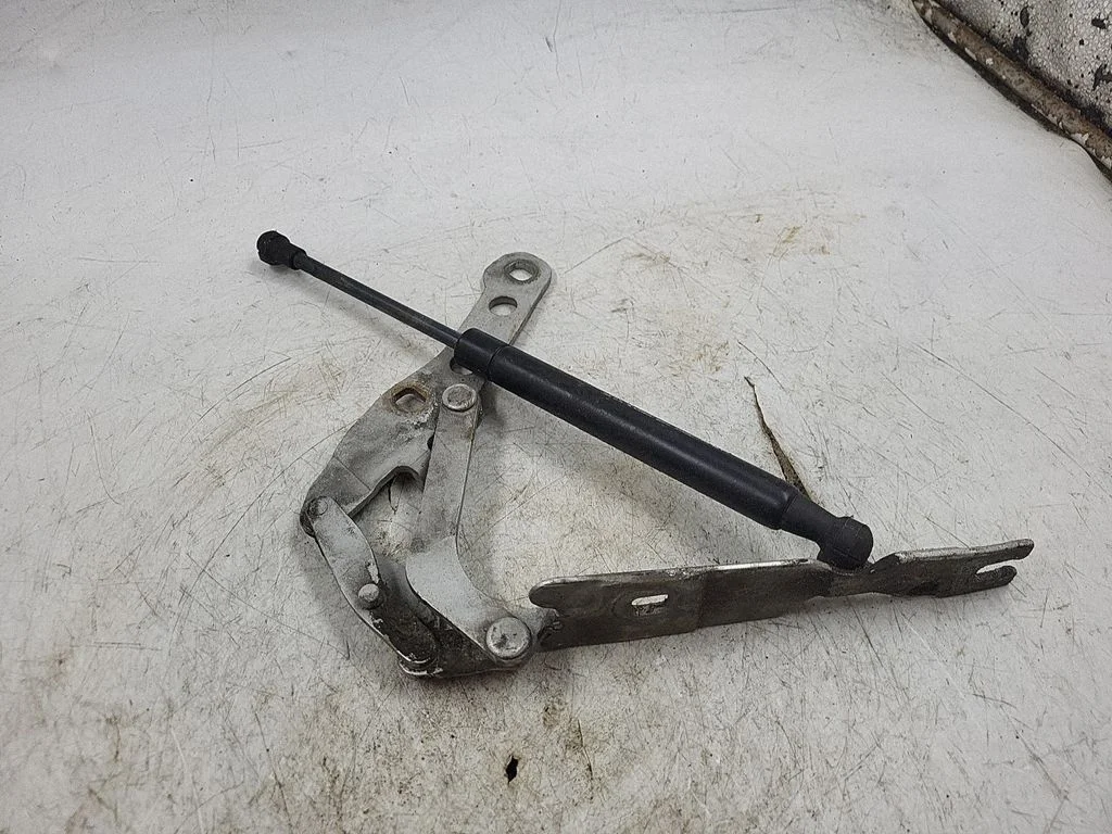 Tailgate/trunk/boot hinge