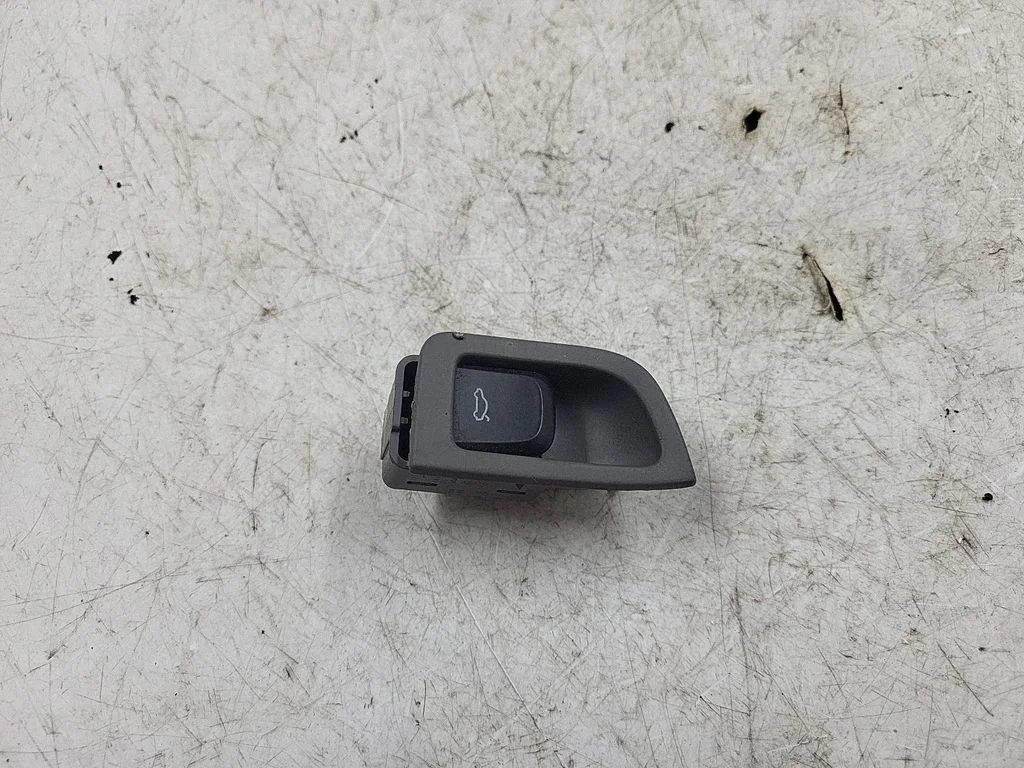 Tailgate opening switch 8K0959831