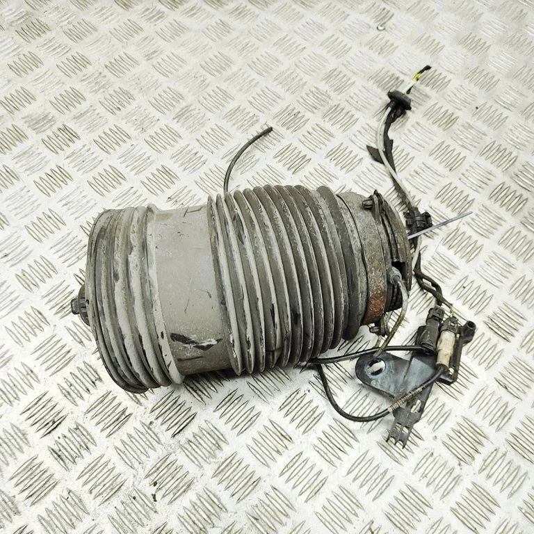 Aizmugurējais pneimatiskais (gaisa) spilvens A2133280100