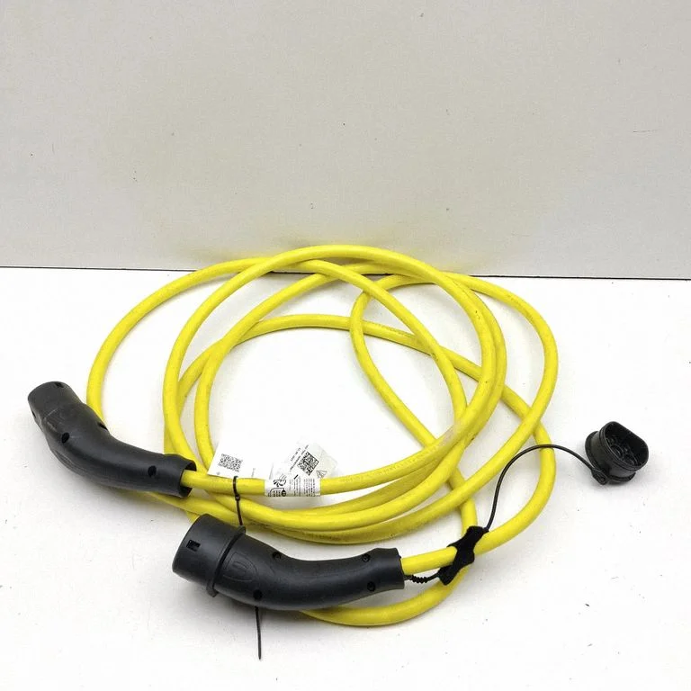 Elektriauto laadimiskaabel 1EA971639P