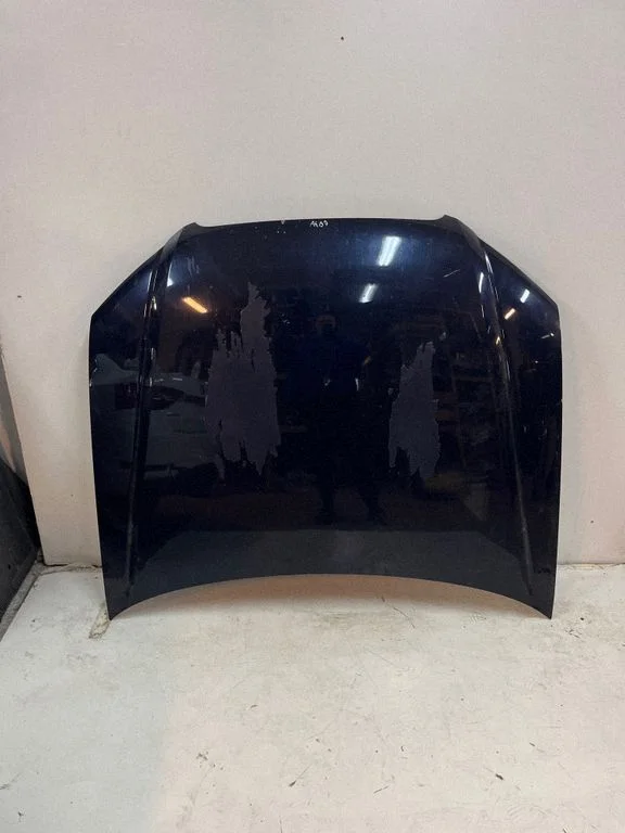 Engine bonnet/hood