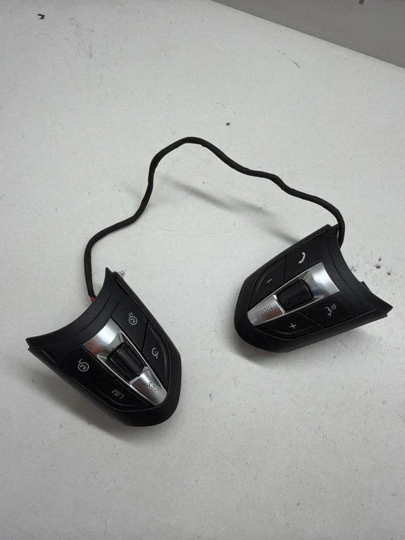 Steering wheel buttons/switches