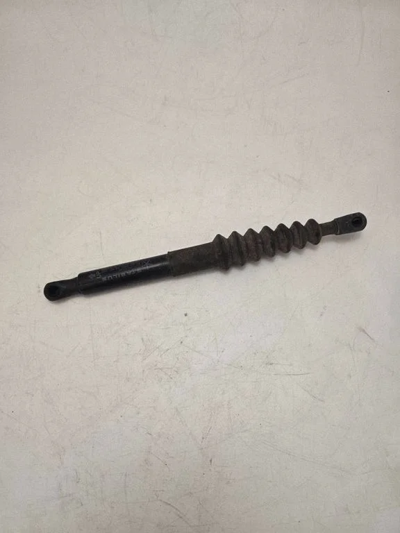 Tailgate/trunk strut/damper 1128410210N