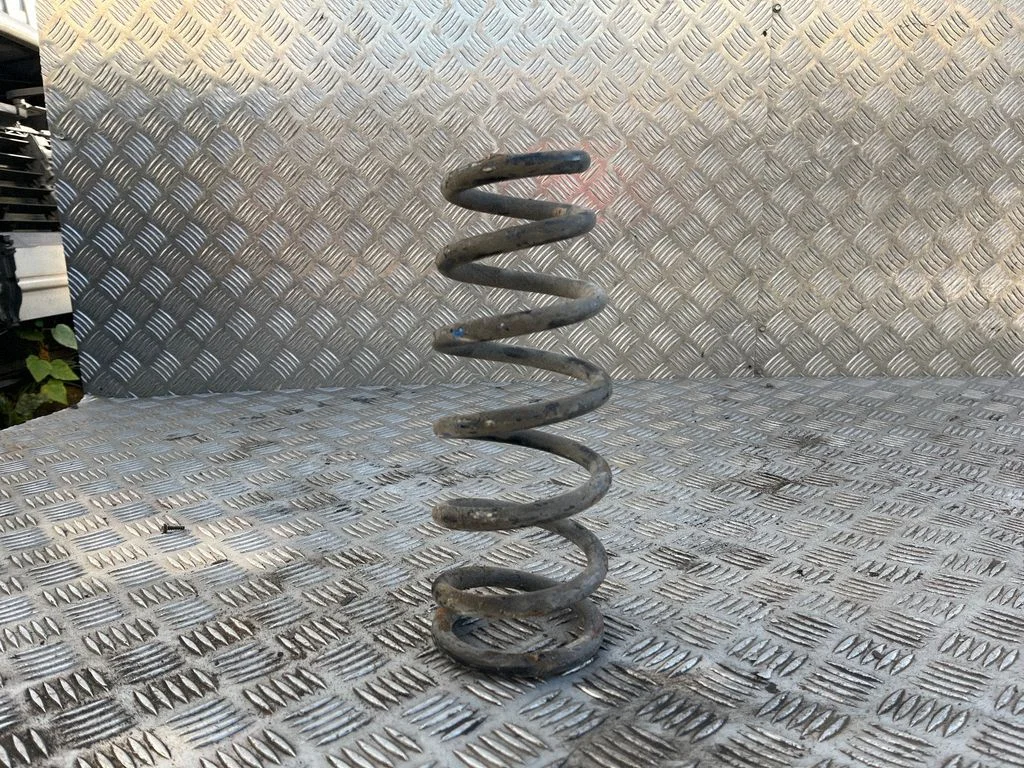 Rear coil spring
