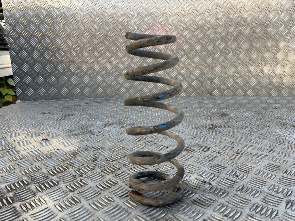 Rear coil spring