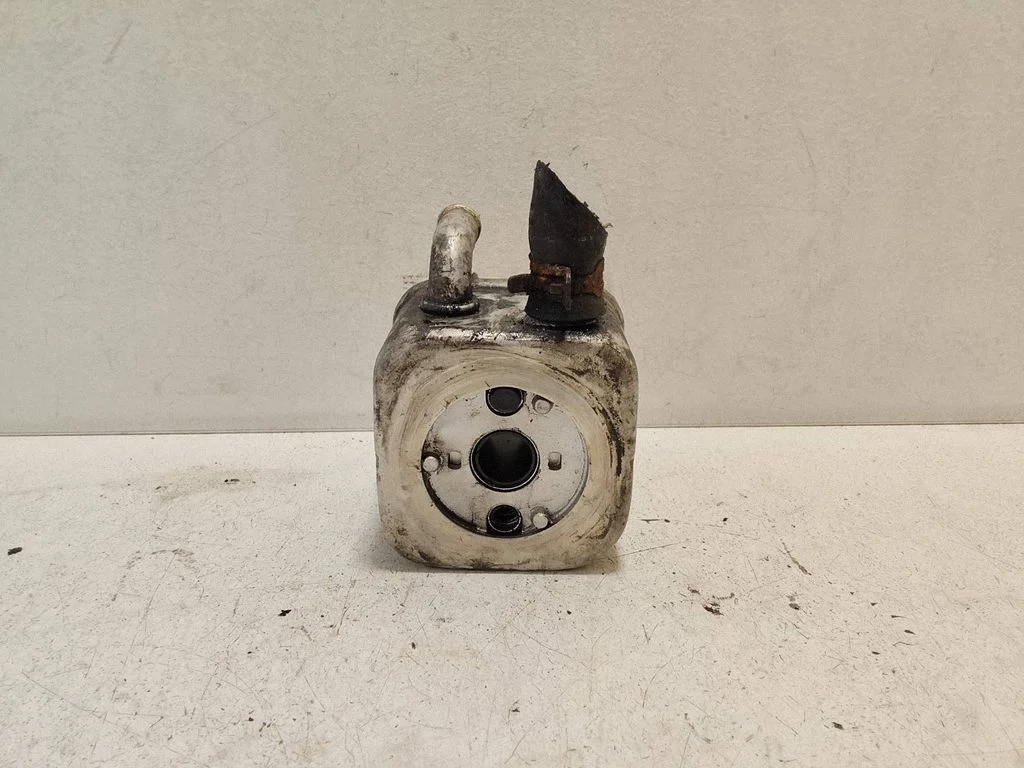 Oil filter mounting bracket
