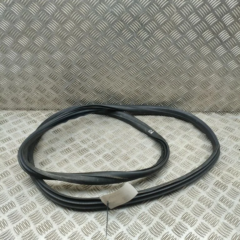 Rubber seal front door (on door) 31424017