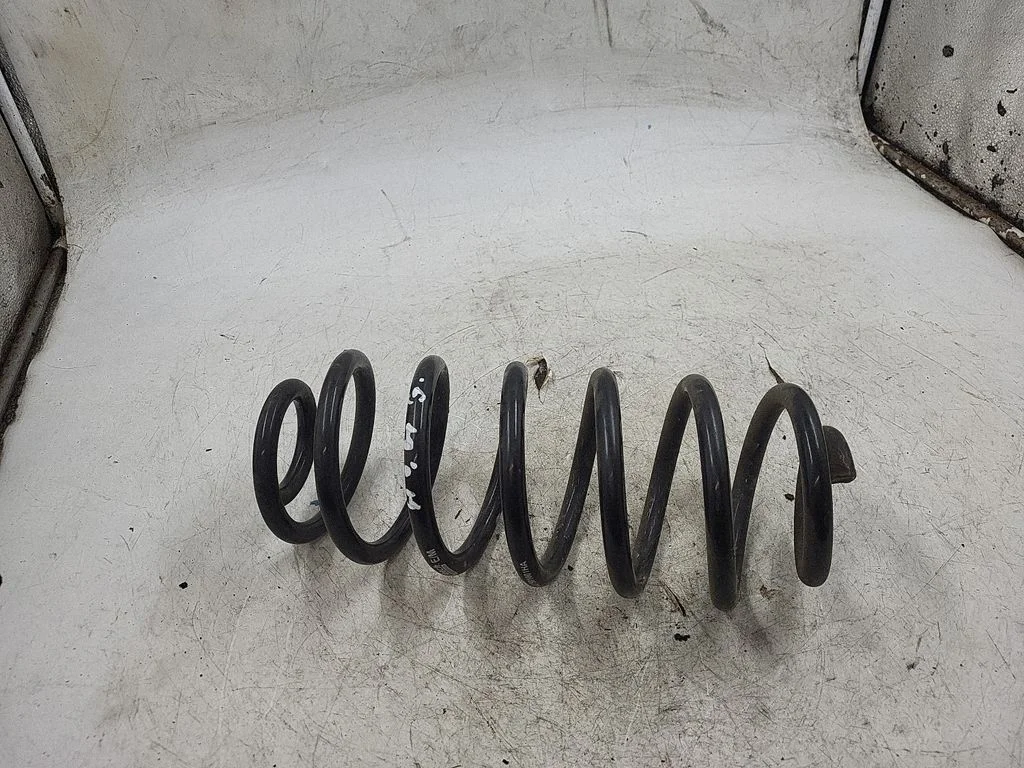 Rear coil spring