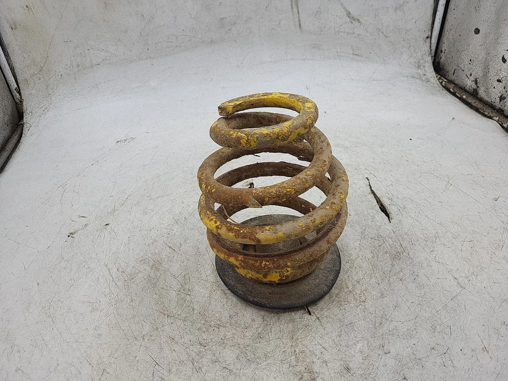 Rear coil spring