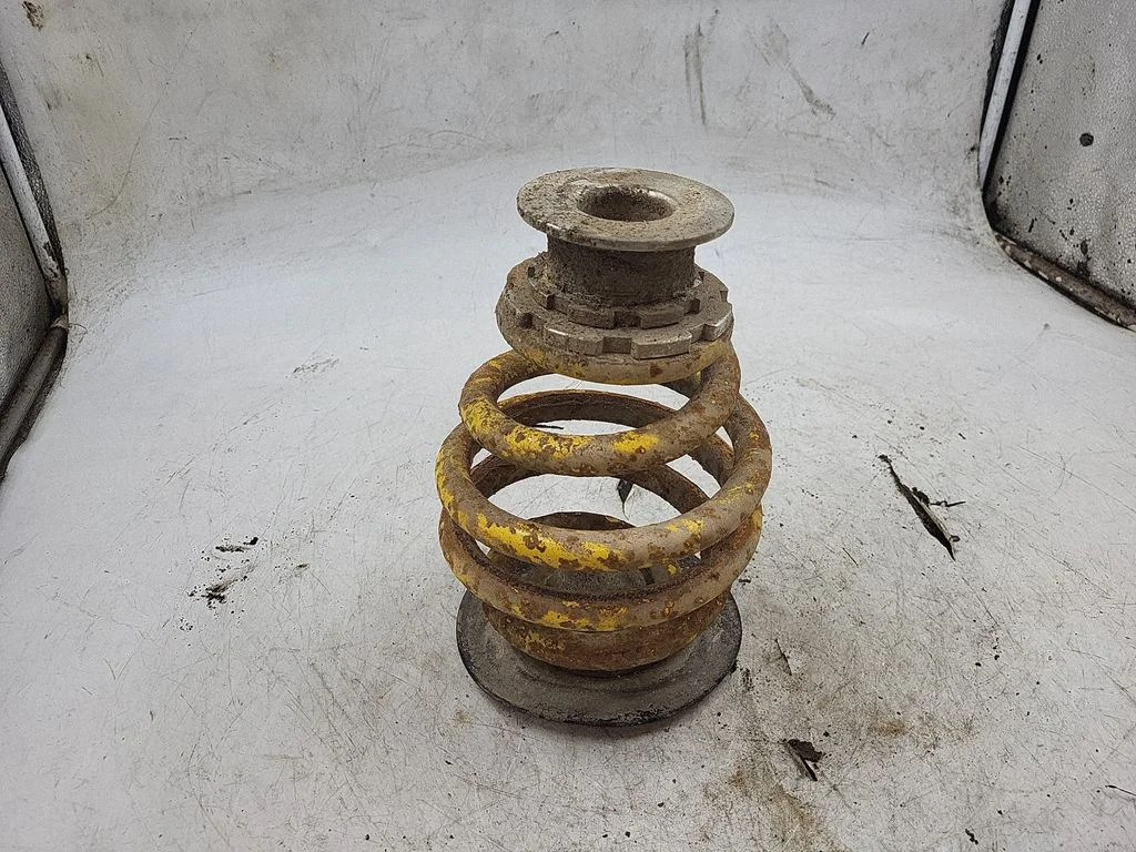 Rear coil spring