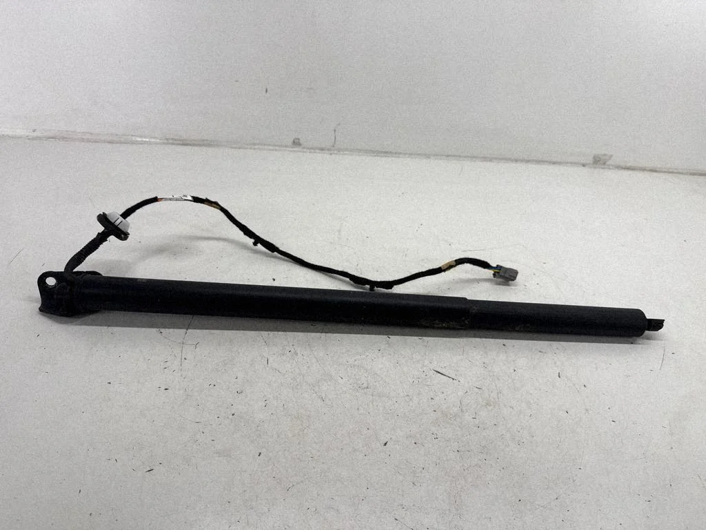 Tailgate/trunk strut/damper LJ6BS402A54AE