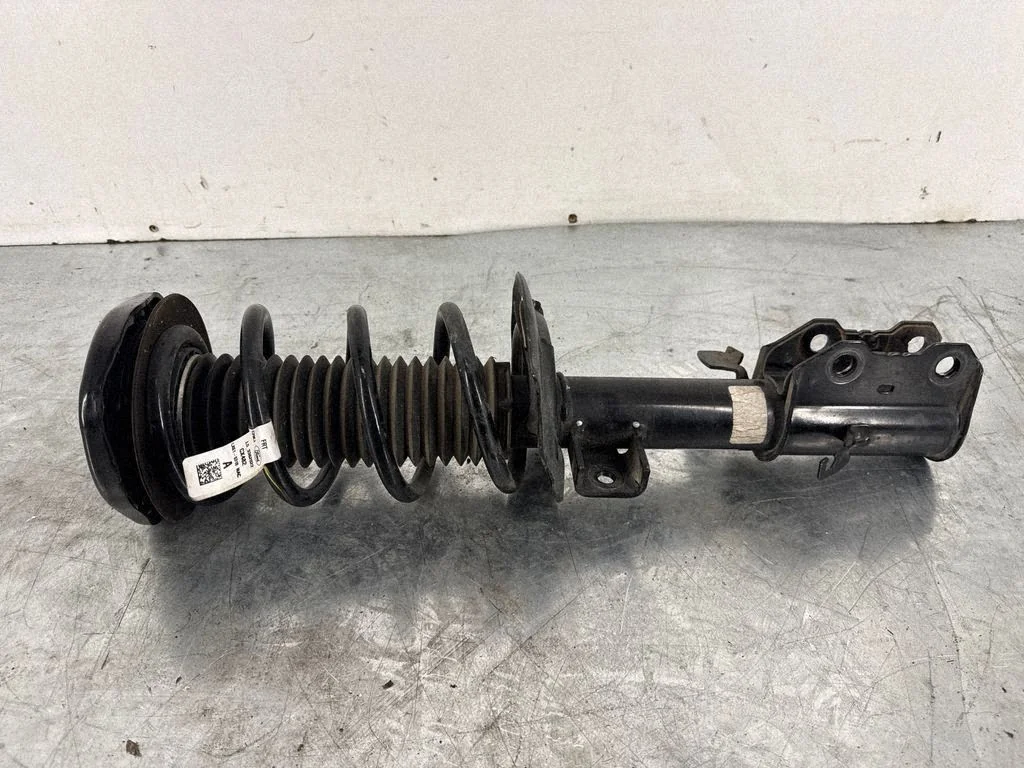 Front shock absorber with coil spring LX6118045NAF
