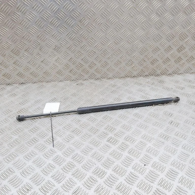 Aizmugurējā vāka amortizators DS73N406A10AF