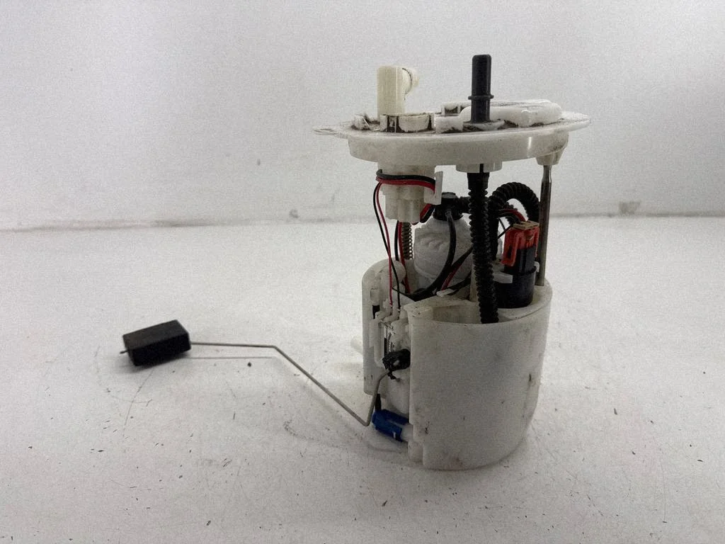 In-tank fuel pump DB539H307BG
