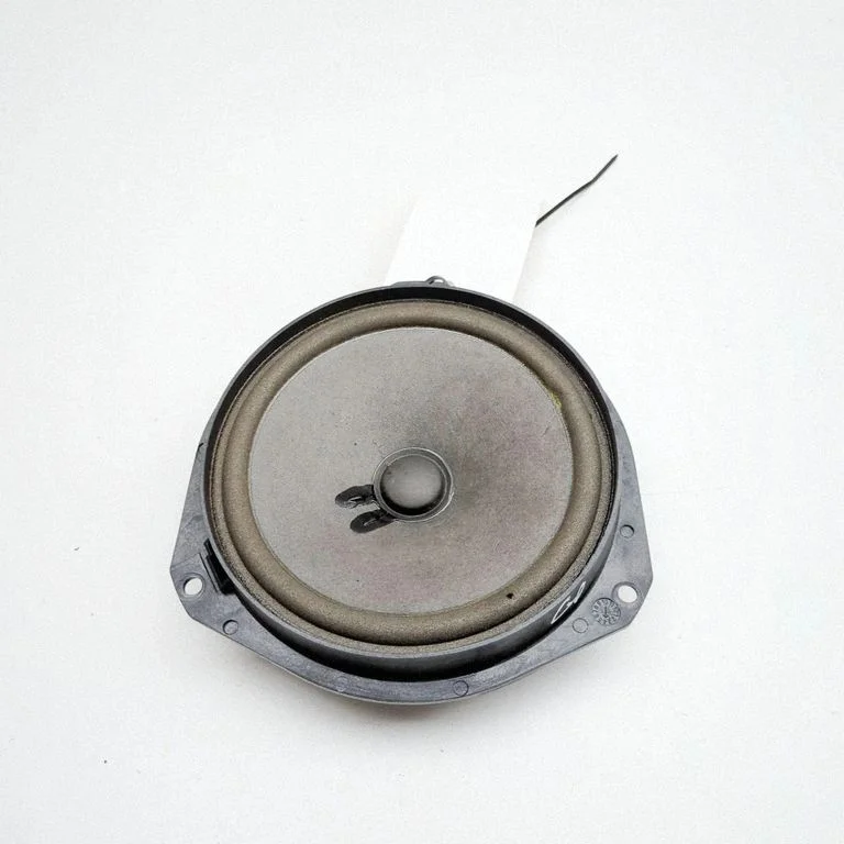 Rear door speaker 670108952